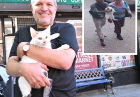 NYC ‘animal lover’ accused of stealing beloved bodega cat furiously claims she was unfairly arrested