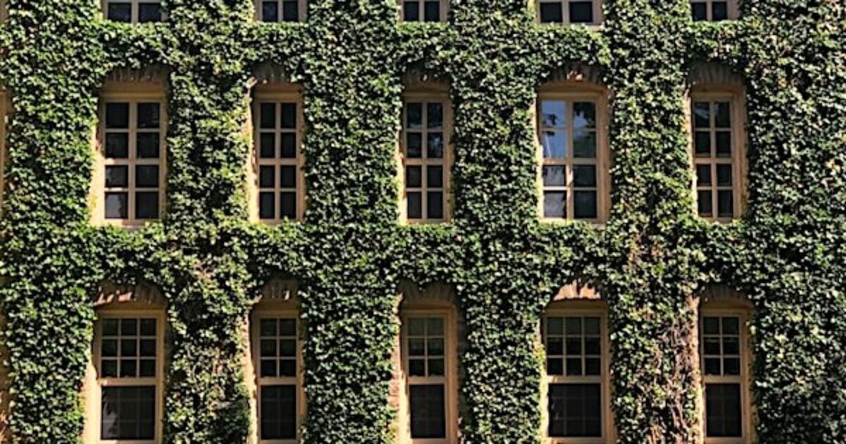 ‘Intolerance’: Princeton reaches ‘academic nirvana’ with ZERO political donations to Republicans princeton university colleges ivy league windows unsplash 1200x630 1